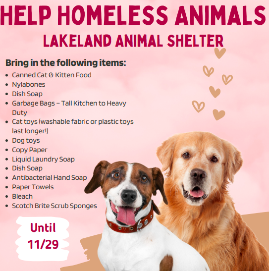 lakeland animal shelter