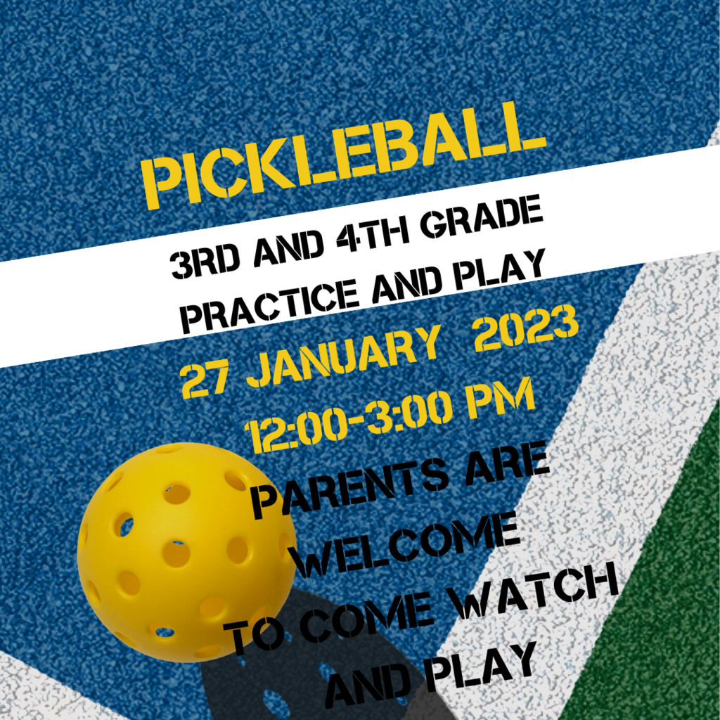 Pickleball 3rd and 4th